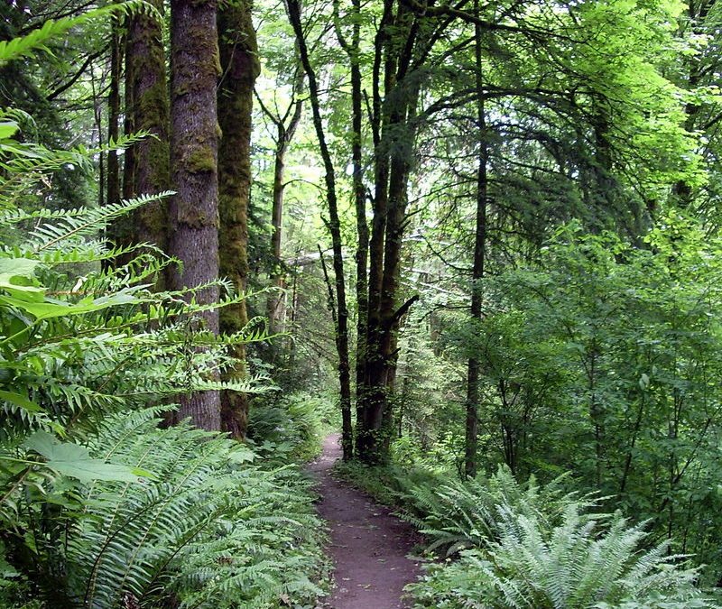 Discovering Portland’s Parks