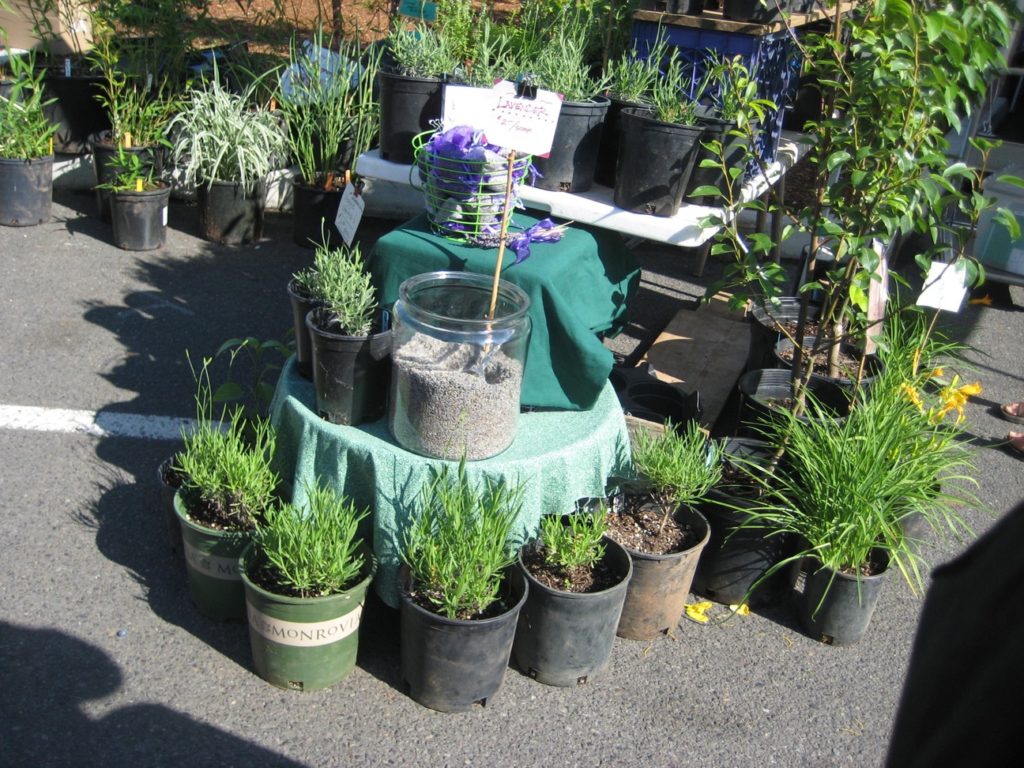 Farmers Markets Portland